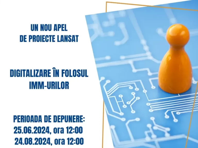 APEL LANSAT – DIGITALIZARE PENTRU IMM-URI